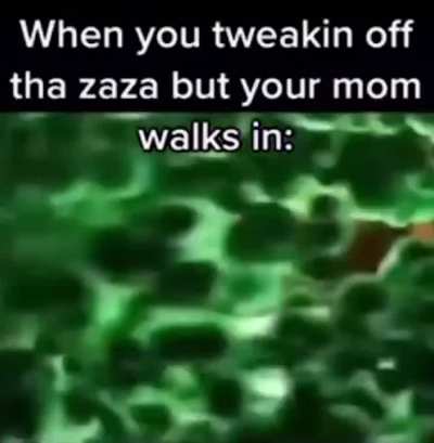 Zaza