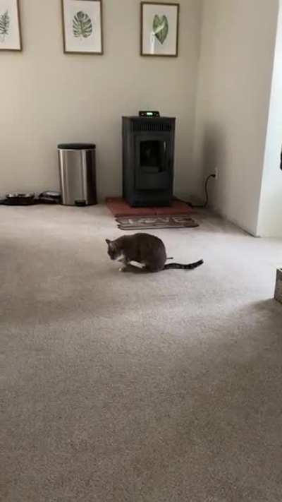 Scuse me while I pooterscoot across you&rsquo;re floor...