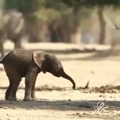 First Baby steps