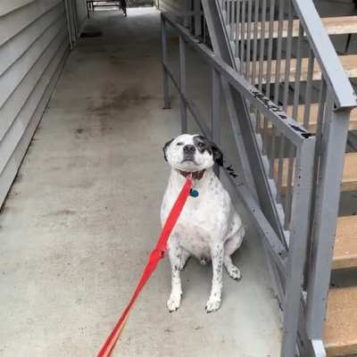 You could say he doesn&rsquo;t enjoy the rain.