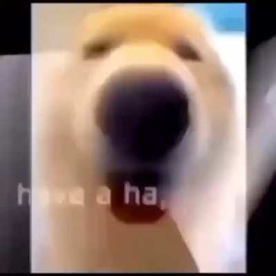 😄