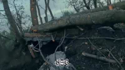 11 minutes of pure treeline warfare by unit "Hate Group", a part of 24th omBr