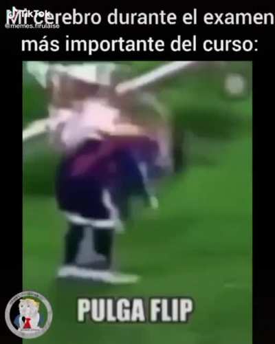 Pulga Flip😂👿😂👿😂👿😂👿