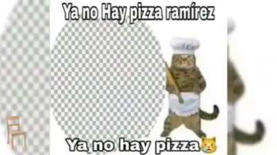 curimomos, tal ves y le gustan a bana 