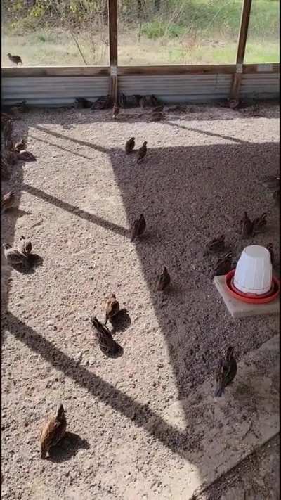 Glitch in matrix