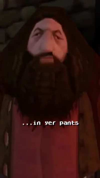 Harry Potter Gone Wild Director's Cut