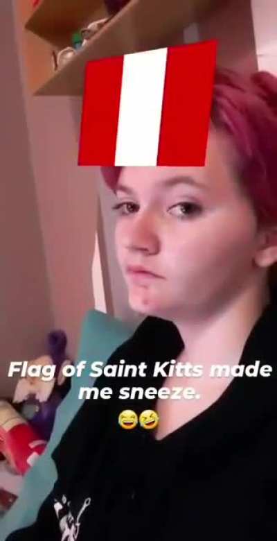 Damn you flag of Saint Kitts