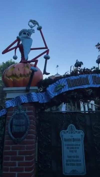 Taya showing us her day at Disneyland.