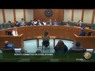 Texas state senate