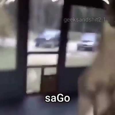 SaGo?? vs plaka yerli dans eden &ouml;rdek