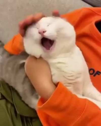 HuMAn cLaWs iNNocEnT cReaTuReS bRAiNs OuT