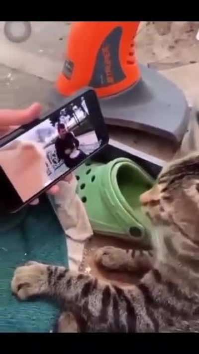 Que legal