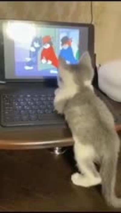 Online classes