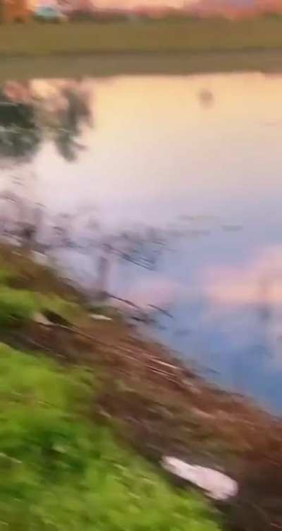 To take a dip