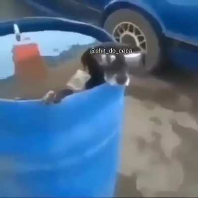 SHEEEEEEEESH