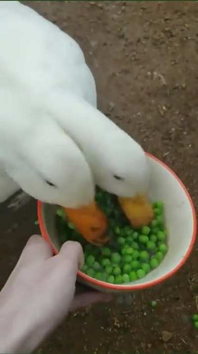Maybe maybe maybe