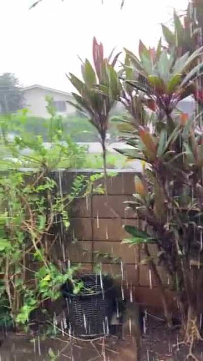 It&rsquo;s raining again in Hawaii after clear blue skies. Pear City