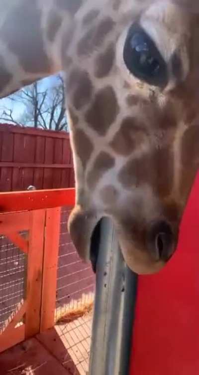 Hmmm