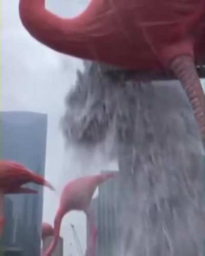 Big Flamingos