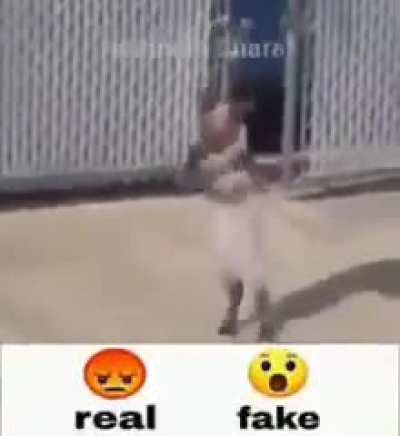 Rule