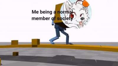 Furry_irl