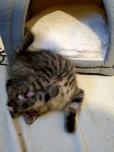 Mika waking up from her nap
