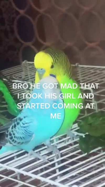 He is very angry