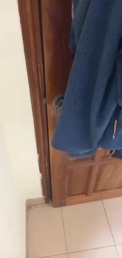 average phasmophobia player reaction to a natural event