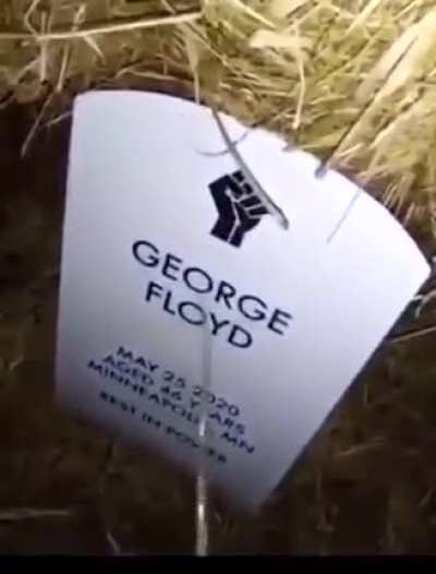 Piss grave