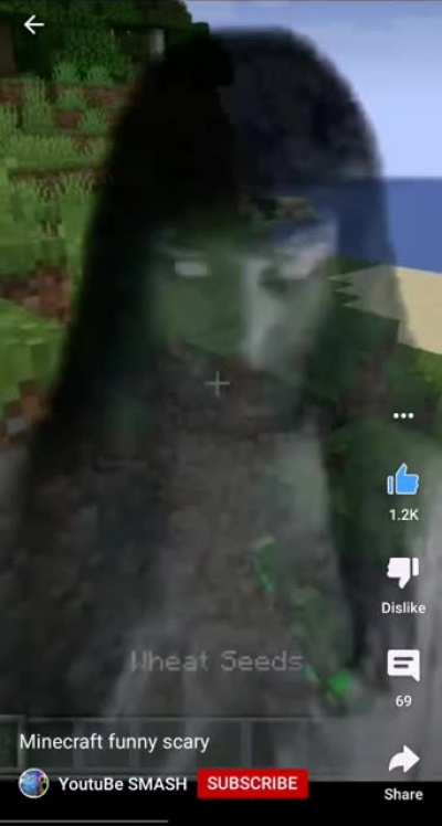Minecraft funny scary