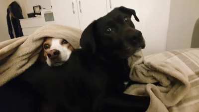 Bed time?!