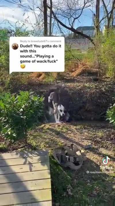 WASTED