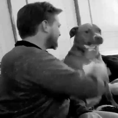 The dog said: "I'm tired of your bulls*it!"