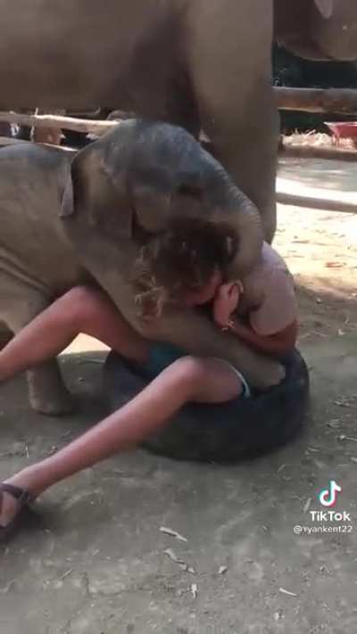 A big lap pet.