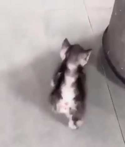 If you need a smile, try this.