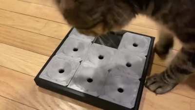 Designed and printed my own version of Cat Sudoku to challenge my feline. He&rsquo;s getting faster!