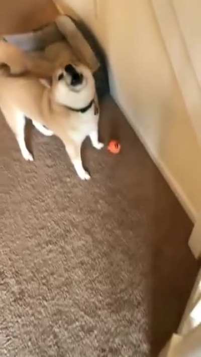 I think he likes it