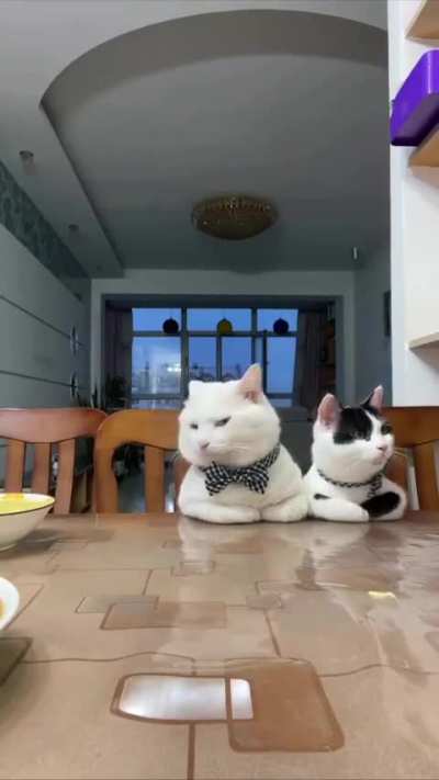 Gentlemen waiting for breakfast