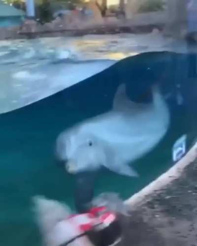 Making an unlikely friend