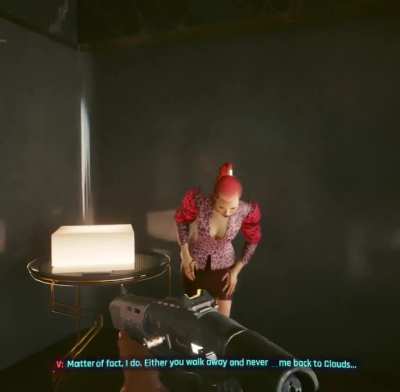 She just saw me eliminate a whole 2 floors worth of assassins and mercinaries btw