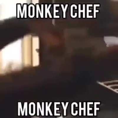 monkey chef