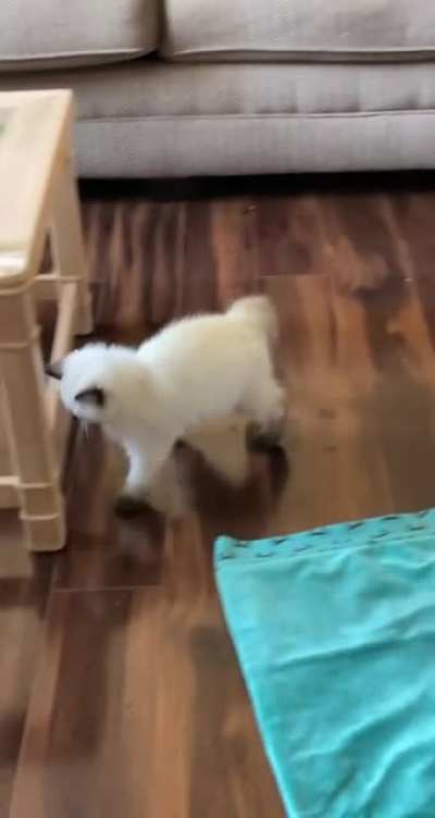 She was chasing the floor today&hellip;