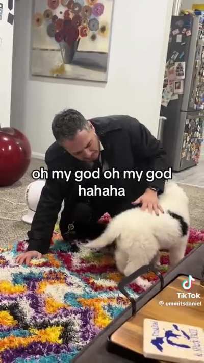 Valid reaction to getting a puppy 