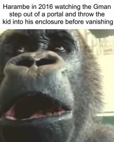 entrulepy begins