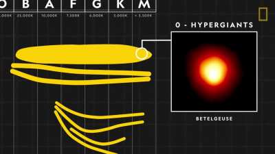 Countless stars dot the night sky. Learn how these celestial objects form, how they are classified by brightness and temperature, and what happens when they die.