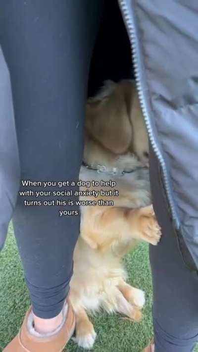Social Anxiety