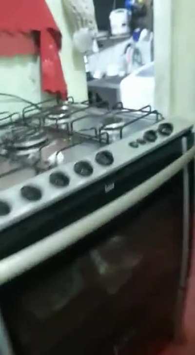 Olha o gato!