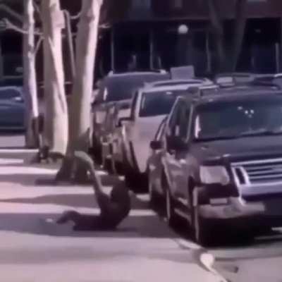 Head first