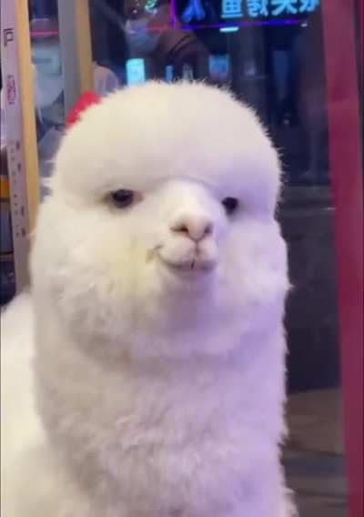 😉