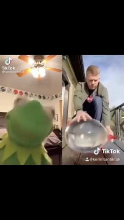 Kermit watching something satisfying